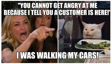 I'm Angry Cat Who the hell are you?