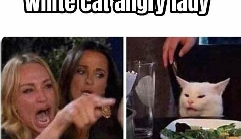Angry Woman Yelling At Cat Meme Generator - img-Bade