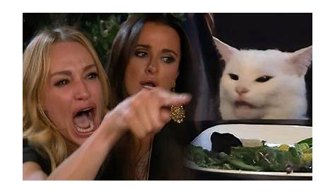 Women yelling at cat meme - Drawception