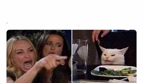 Angry Woman Yelling At Cat Meme Generator - img-Bade