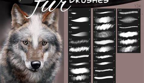 Fur and Animal Hair Brushes for Photoshop