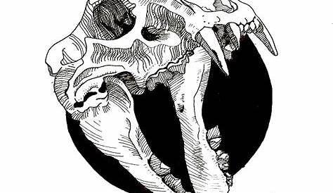 Animal Skull Sketches - MonikaLea