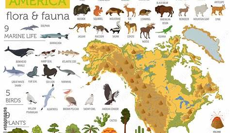 Animales en peligro de extinción: Animales del continente americano
