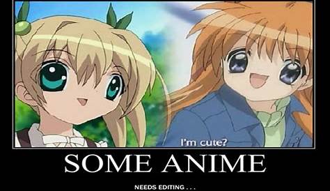 Anime Meme Wallpaper