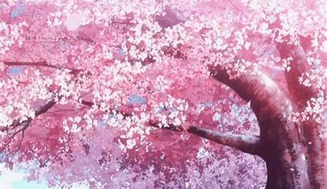 Anime Cherry Blossom Wallpaper Gif Unduh 60 Iphone Populer Terbaik Posts Id