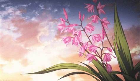 Pink Flower Gif Anime - pic-willy