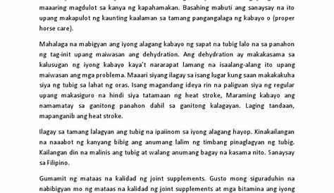 Sanaysay Examples Sanaysay Kahalagahan Ng Kalayaan Pagkakapantay | Hot