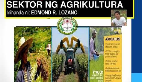 Kahalagahan Ng Agrikultura Sa Ekonomiya Ng Pilipinas - Mobile Legends