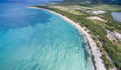 Anse des Salines - Martinique