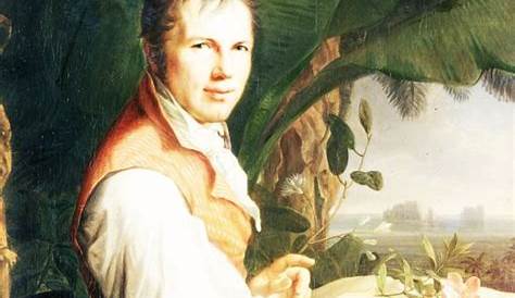 Ansichten der Natur (Großdruck) von Alexander Von Humboldt - Fachbuch