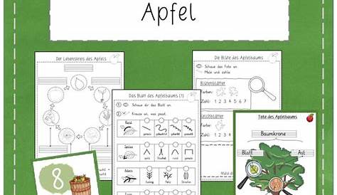 Der Apfelbaum im Jahreslauf · Auer Verlag – Material zur