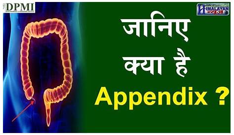 Appendix Disease Meaning In Hindi Geeta And Health
