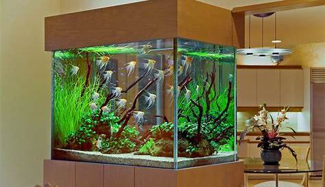 Aquarium Design Ideas 55 Wondrous For Your Extraordinary Home