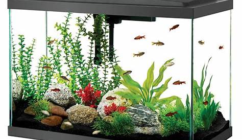 Unlock The Secrets Of Aquarium Prices: Discover Savings And Expert Insights