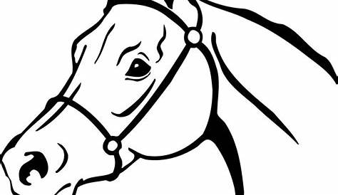 Arabian Horse Head Clipart 20 Free s Download Images