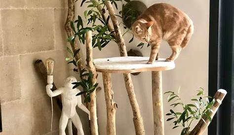 Arbre A Chat Bois Flotte à Maison En Flotté Diy Homemade Wooden Cat