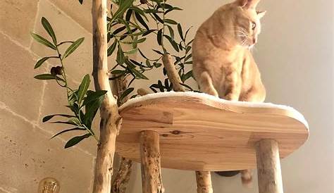 Arbre A Chat Design En Bois UN RBRE CHT ECOLOGIQUE ET DESIGN FeerieGreen