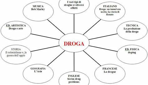 49 idee su TESINE TERZA MEDIA | media, mappe concettuali, scuola media