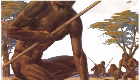 Homo erectus, artwork - Stock Image - C010/4389 - Science Photo Library