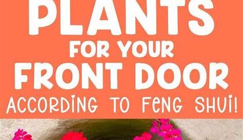 14 Best Feng Shui Flowers To Keep At Home | FengShuied