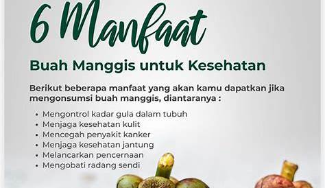 Jual Manggis Import Murah dan Terpercaya - Segar Group Indonesia