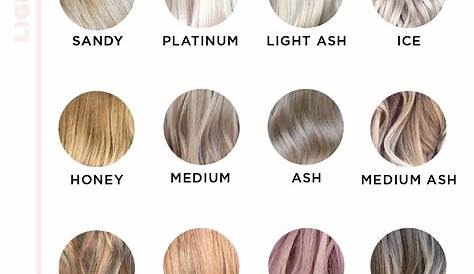 Ash Blonde Color Wheel Hair Chart Google Search Hair Names -