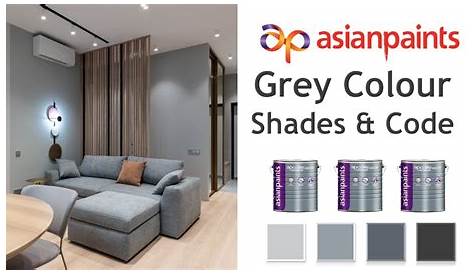 Try Elegant Grey House Paint Colour Shades for Walls - Asian Paints