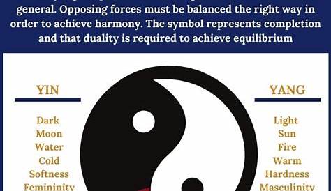 The Real Meaning Behind The Chinese Yin-Yang Symbol - Symbol Sage