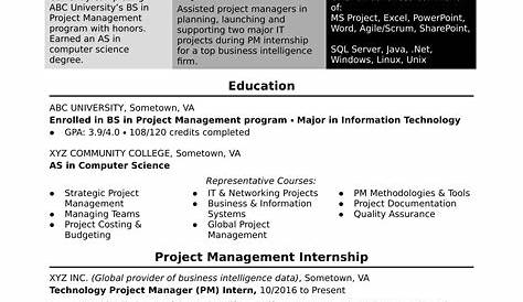 Project Manager Resume Example & Writing Tips for 2020