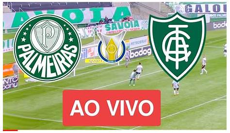 Assistir TV online: jogo do Palmeiras ao vivo pela Copa do Brasil