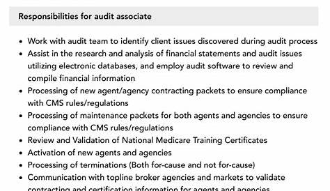 Internal Audit Associate Job Description | Velvet Jobs