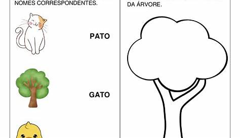 Prova Ensino De Natureza E Sociedade Na Educação Infantil