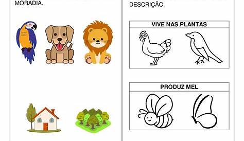 atividades de natureza e sociedade minha moradia - Pesquisa Google