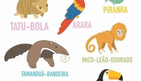 Animais brasileiros | Cartões e cartaz | Lume | Animais brasileiros