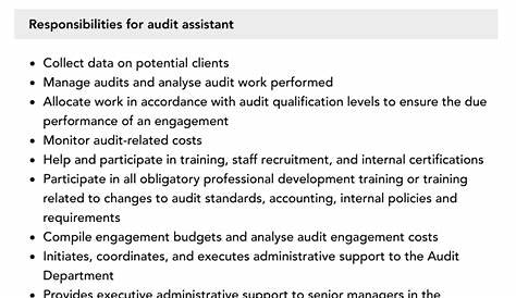 💌 Duties and responsibilities of an auditor in a company. IT Auditors