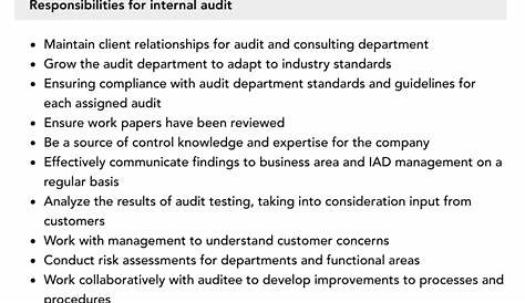 Internal Audit Job Description | Velvet Jobs