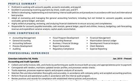 Best Auditor Resume Example | LiveCareer