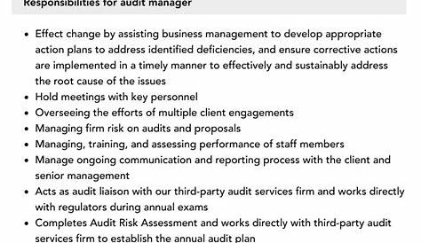 Audit Manager Job Description | Velvet Jobs