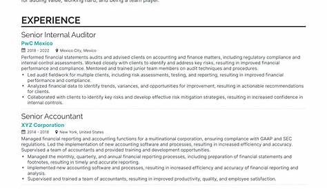 Audit Director Resume Example - Financial Auditor - MBA