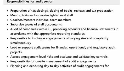 Audit Senior Manager Job Description | Velvet Jobs