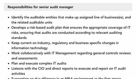 Senior / Audit Associate Job Description | Velvet Jobs
