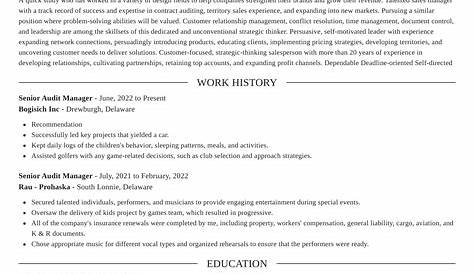 Professional Cv For Auditor / Auditor Resume Samples Velvet Jobs