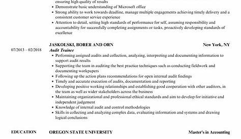 Audit Trainee Resume Samples | Velvet Jobs