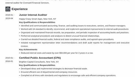Internal Auditor Resume Example & Guide | ZipJob