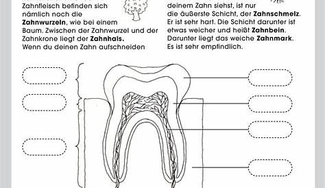 Zahnfleischbehandlung - Zahnarztpraxis Regina Port in Mannheim
