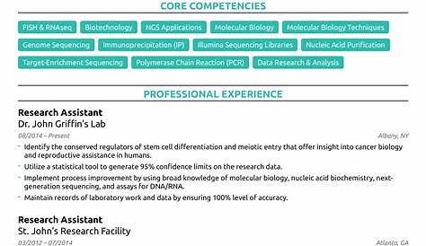 CV Format: Best Australian Curriculum Vitae for a Job [PDF]