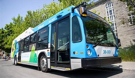 La STM augmentera son service de bus à l'automne | Noovo Info
