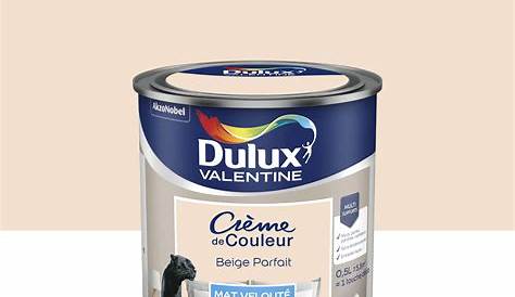 Avis Peinture Dulux Valentine Creme De Couleur DULUX VALENTINE Crème Mat Violet