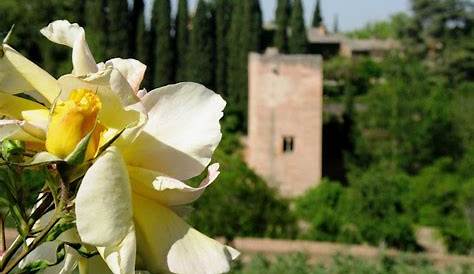 Leyenda de la rosa de la Alhambra