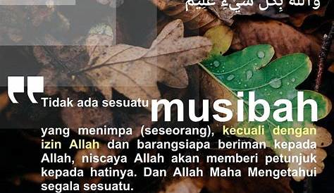 54 Gambar Dp Bbm Ayat Al Quran | Kumpulan Gambar DP BBM